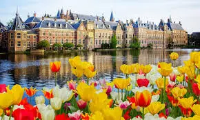 Why study in Netherlands?