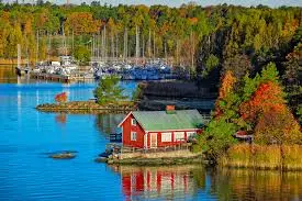 Why study in Finland