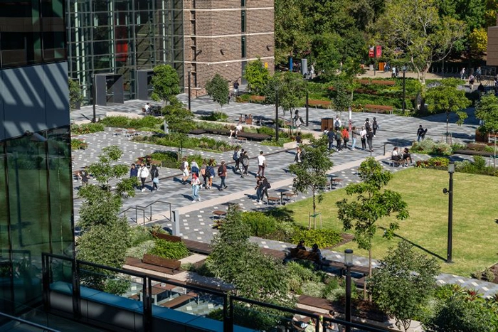 Ngày hội tuyển sinh Macquarie Open day 2025