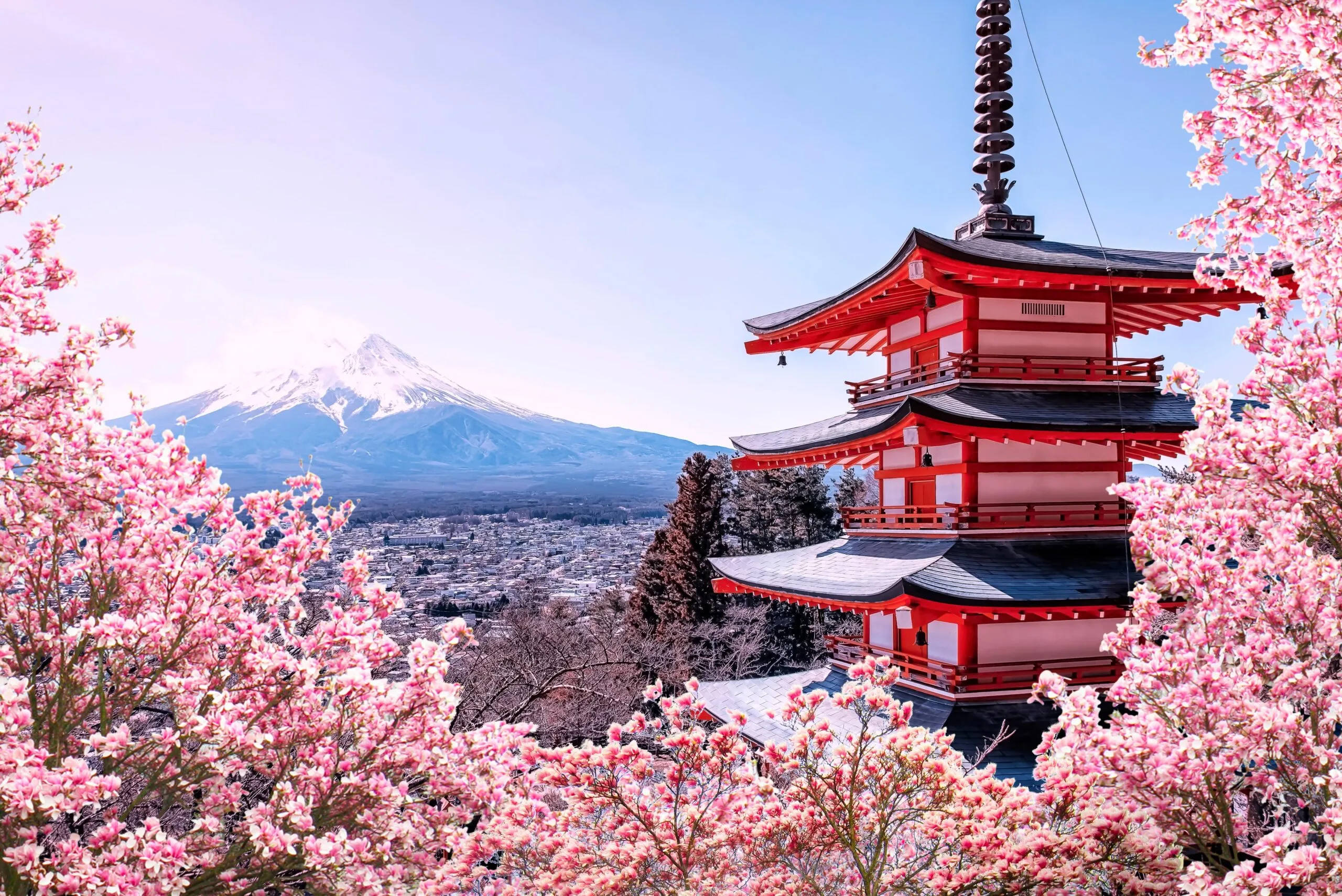 Study in Asia